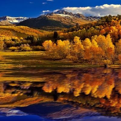 澳门黄金网站免费打开