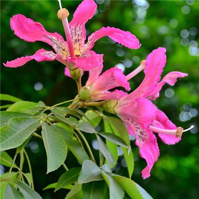 乐发彩票APP下载app下载