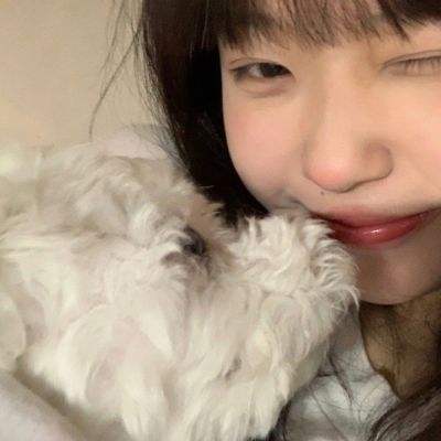 ky体育下载手机版